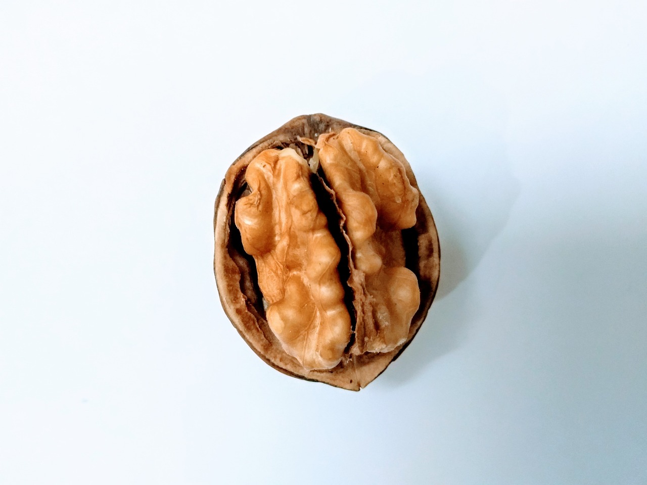 walnut, raw walnut, vegan, vegetarian, food, healthy, walnut, walnut, walnut, walnut, walnut